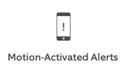 Motion-activated alerts